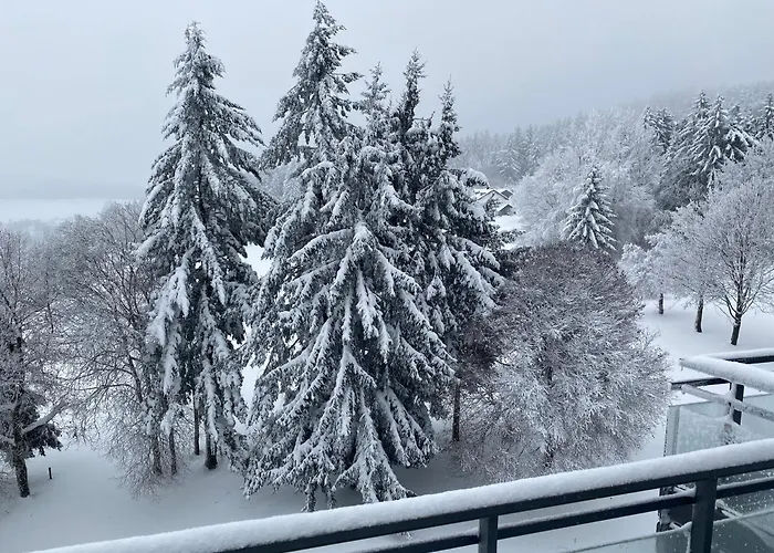 Panoramablick Mit Pool Und Sauna Inklusive Sankt Englmar