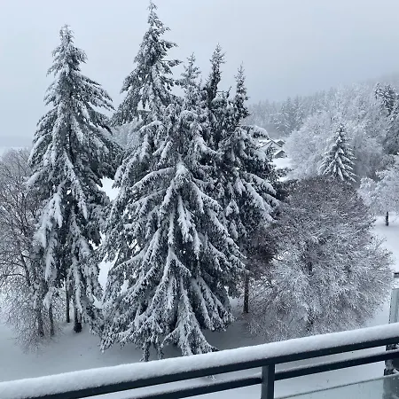 Panoramablick Mit Pool Und Sauna Inklusive Sankt Englmar